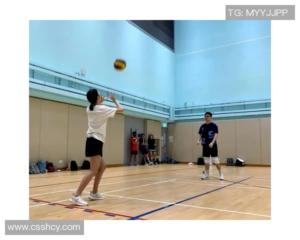 排球装备选购指南：如何选择适合自己的排球拍推荐与技巧解析