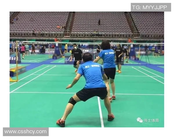 深入分析杭州羽毛球队区域防守战术及其在比赛中的应用效果